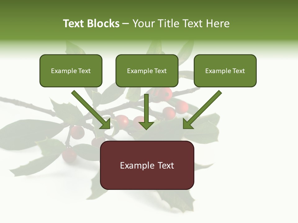 Christmas Holly Isolated On White (Natural) PowerPoint Template