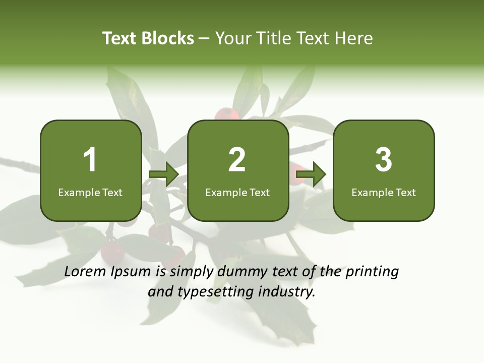 Christmas Holly Isolated On White (Natural) PowerPoint Template