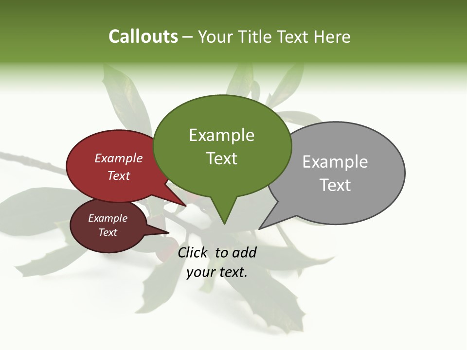 Christmas Holly Isolated On White (Natural) PowerPoint Template