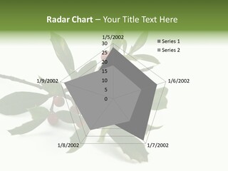 Christmas Holly Isolated On White (Natural) PowerPoint Template