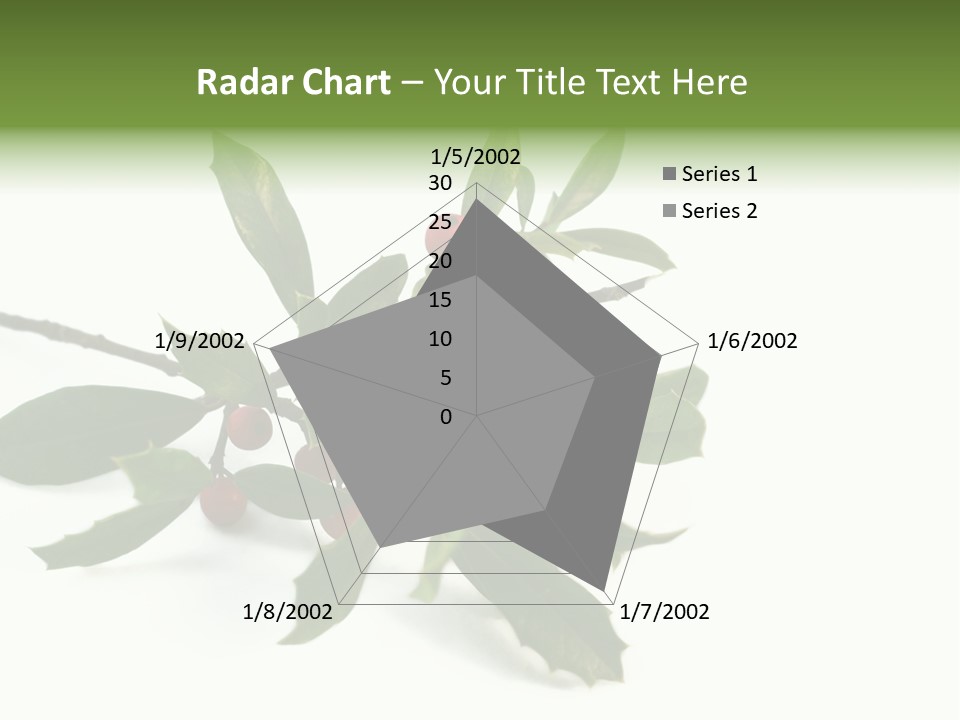 Christmas Holly Isolated On White (Natural) PowerPoint Template