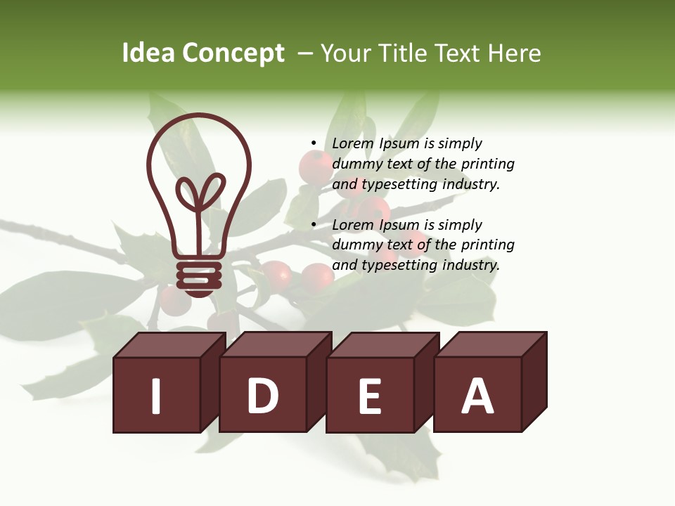 Christmas Holly Isolated On White (Natural) PowerPoint Template