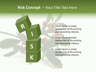 Christmas Holly Isolated On White (Natural) PowerPoint Template