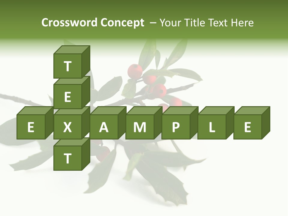 Christmas Holly Isolated On White (Natural) PowerPoint Template