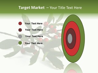 Christmas Holly Isolated On White (Natural) PowerPoint Template
