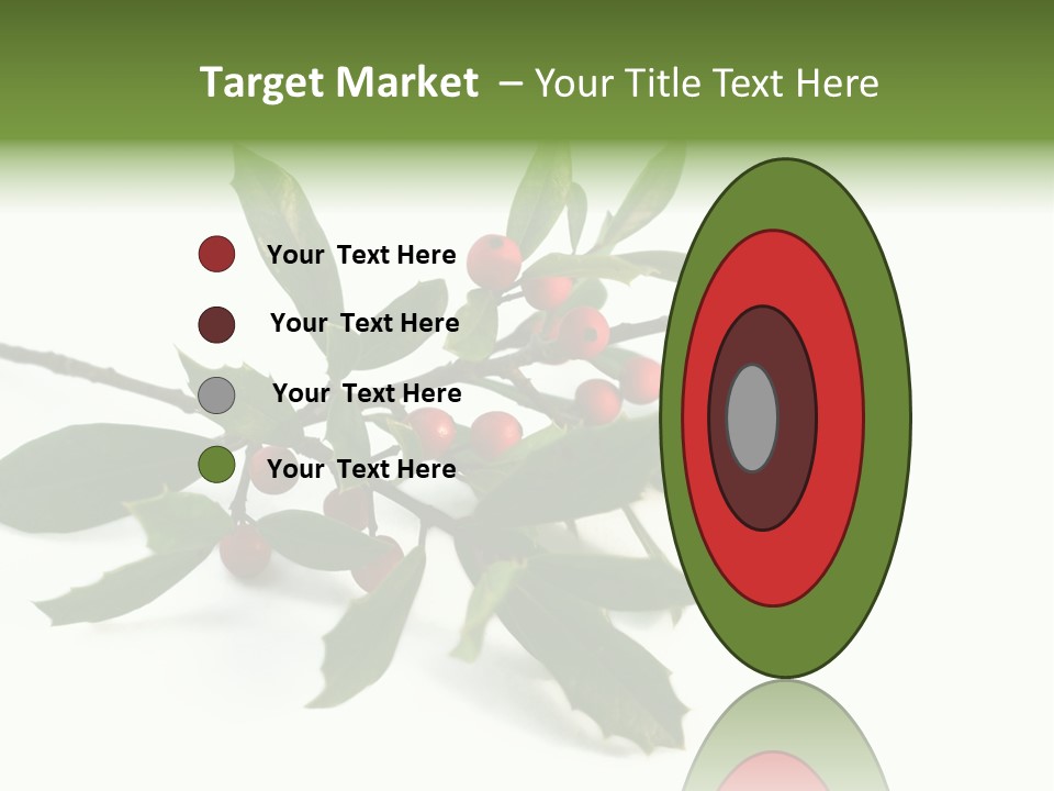 Christmas Holly Isolated On White (Natural) PowerPoint Template