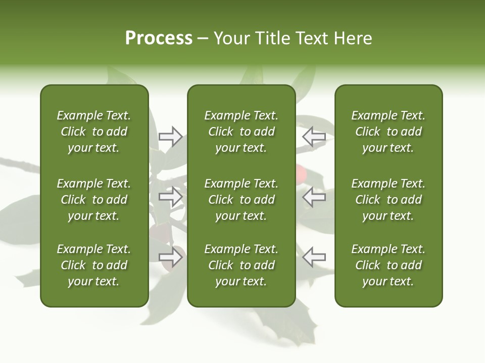 Christmas Holly Isolated On White (Natural) PowerPoint Template