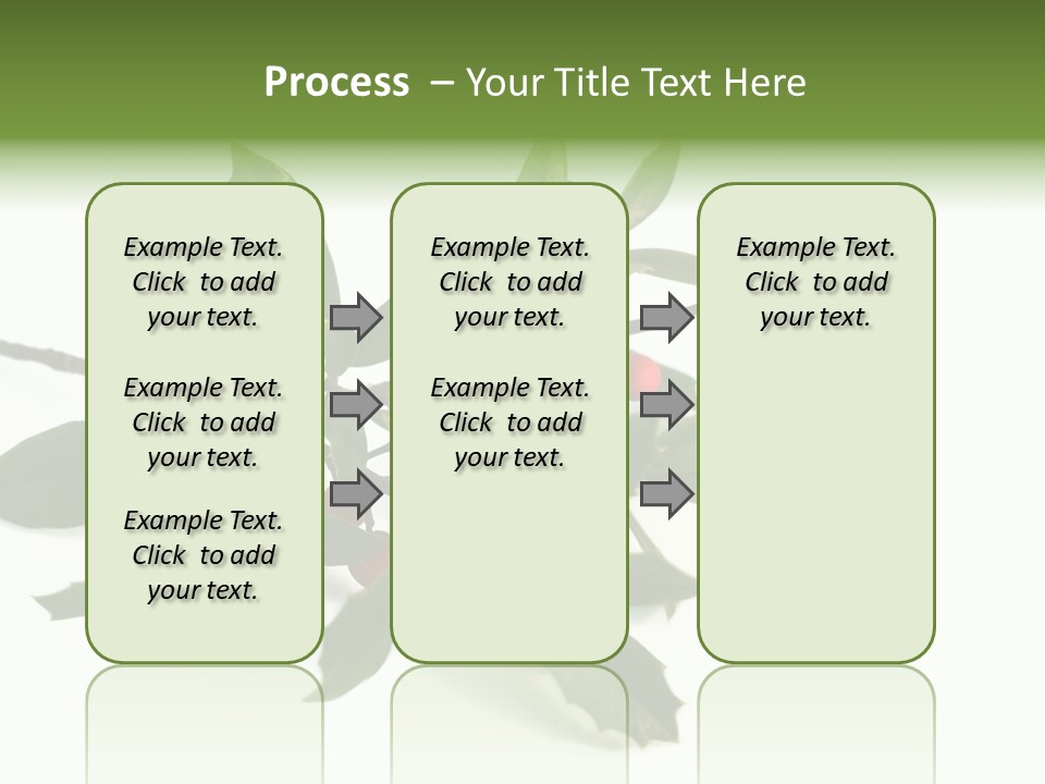 Christmas Holly Isolated On White (Natural) PowerPoint Template