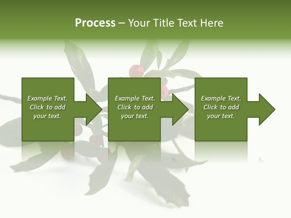 Christmas Holly Isolated On White (Natural) PowerPoint Template