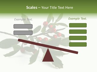 Christmas Holly Isolated On White (Natural) PowerPoint Template