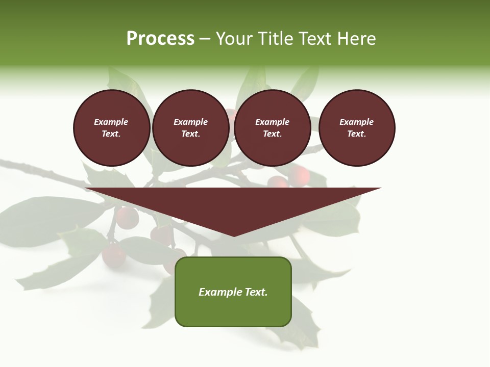 Christmas Holly Isolated On White (Natural) PowerPoint Template