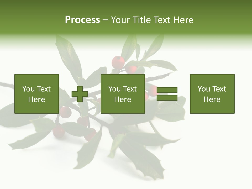 Christmas Holly Isolated On White (Natural) PowerPoint Template