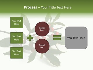 Christmas Holly Isolated On White (Natural) PowerPoint Template