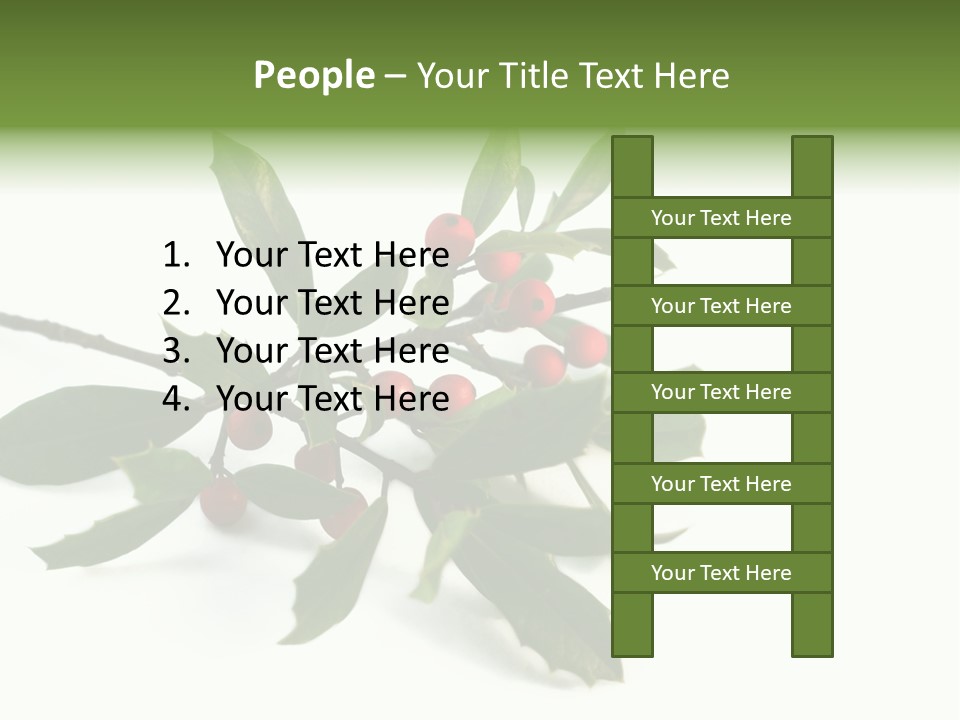 Christmas Holly Isolated On White (Natural) PowerPoint Template