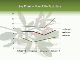 Christmas Holly Isolated On White (Natural) PowerPoint Template