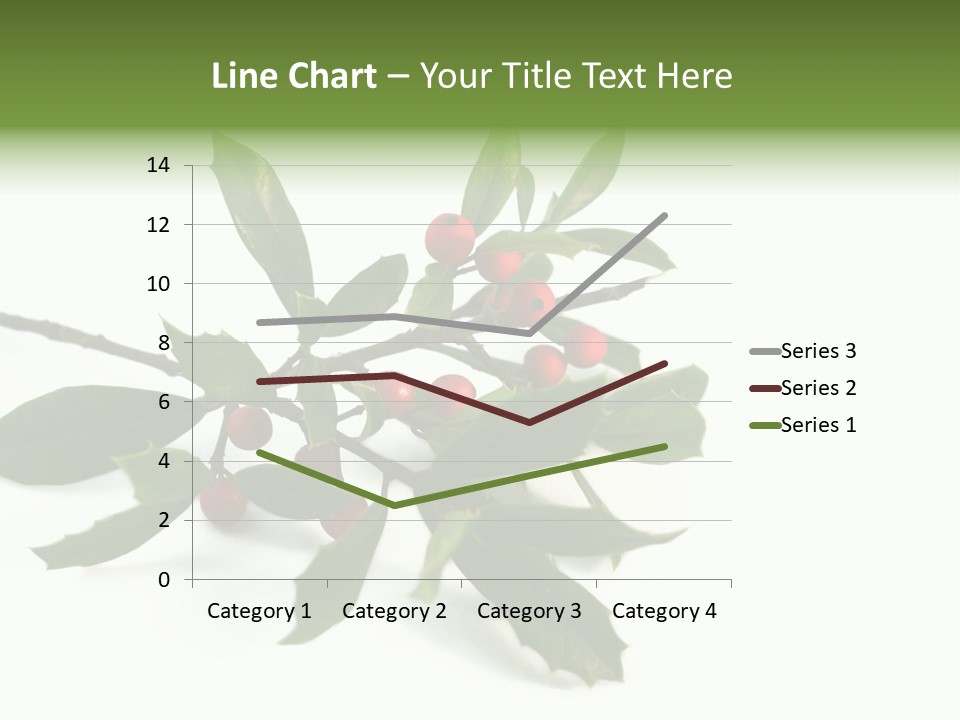 Christmas Holly Isolated On White (Natural) PowerPoint Template