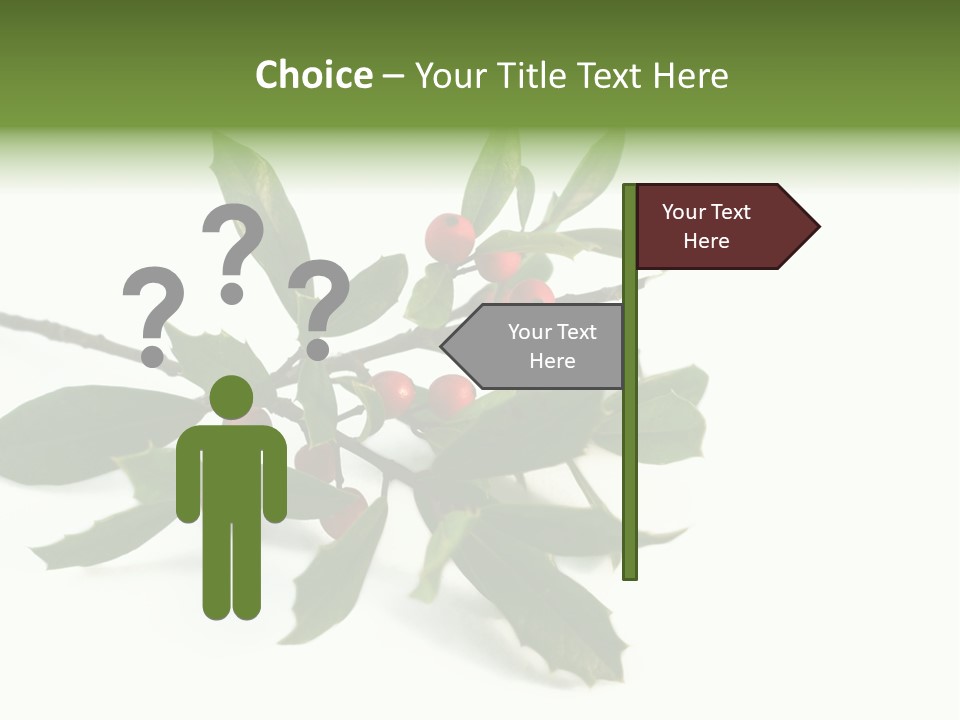 Christmas Holly Isolated On White (Natural) PowerPoint Template