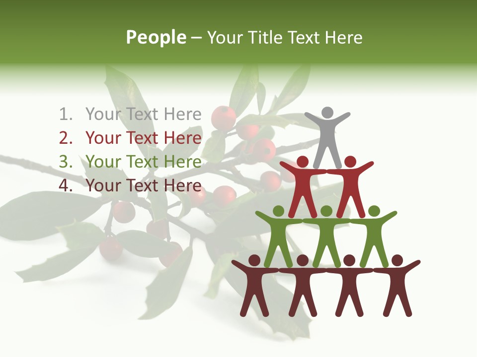 Christmas Holly Isolated On White (Natural) PowerPoint Template