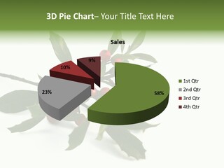 Christmas Holly Isolated On White (Natural) PowerPoint Template