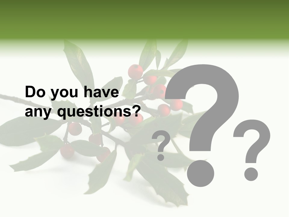 Christmas Holly Isolated On White (Natural) PowerPoint Template