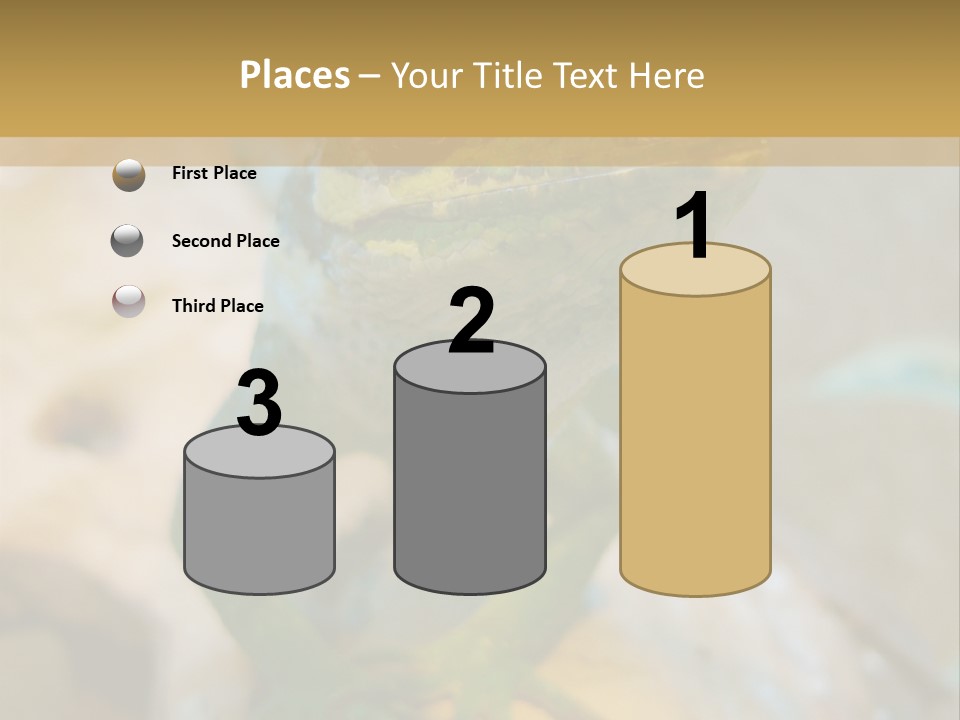 Anolis In Terrarium PowerPoint Template
