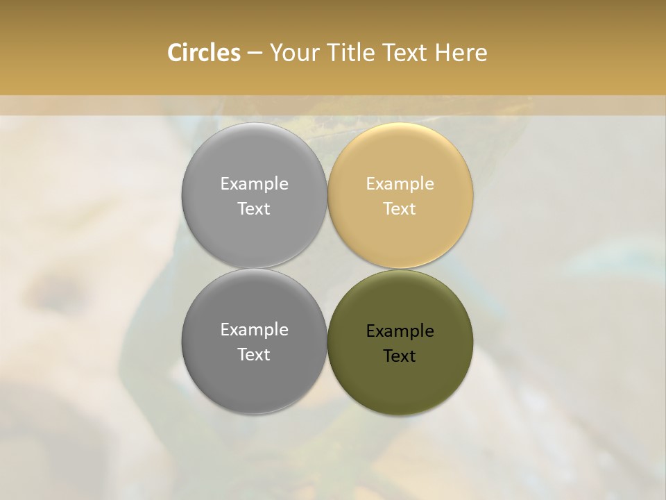 Anolis In Terrarium PowerPoint Template