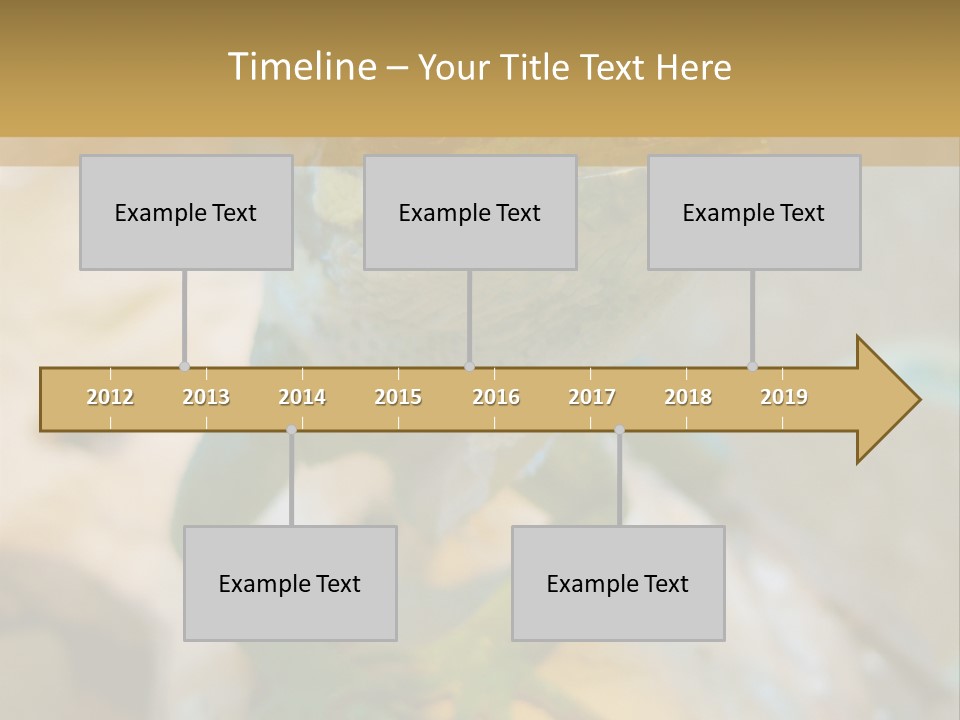 Anolis In Terrarium PowerPoint Template