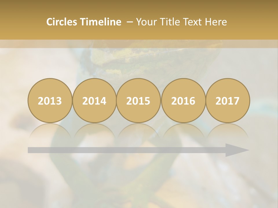 Anolis In Terrarium PowerPoint Template