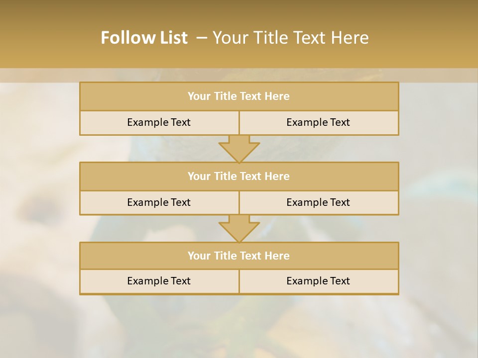 Anolis In Terrarium PowerPoint Template