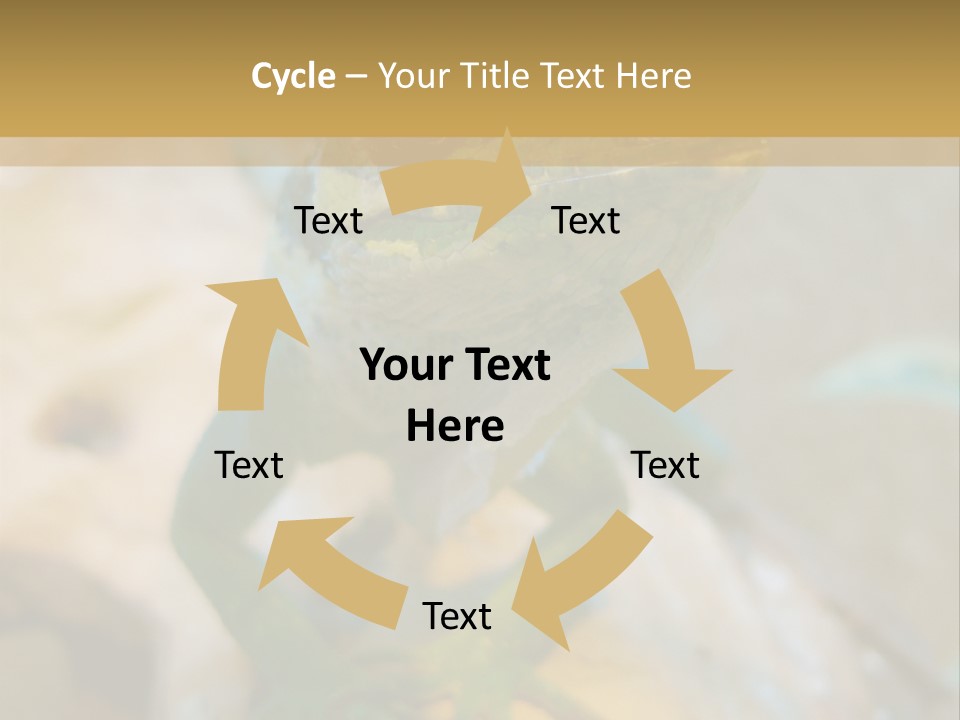 Anolis In Terrarium PowerPoint Template