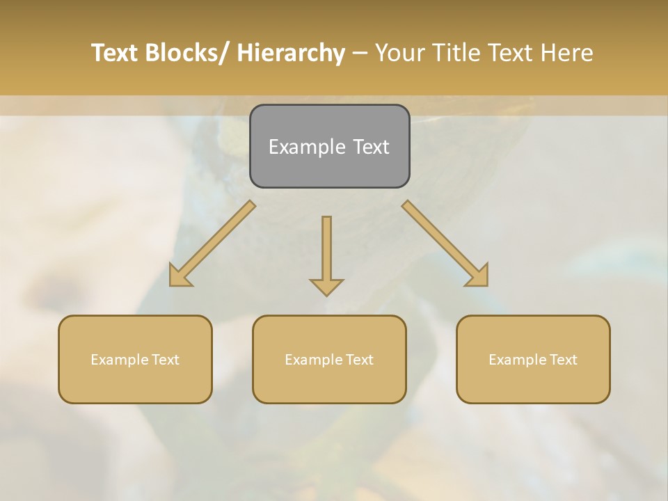 Anolis In Terrarium PowerPoint Template