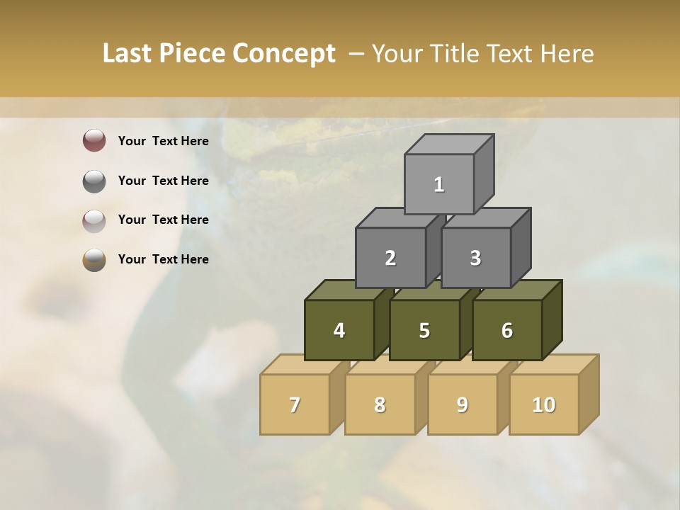 Anolis In Terrarium PowerPoint Template