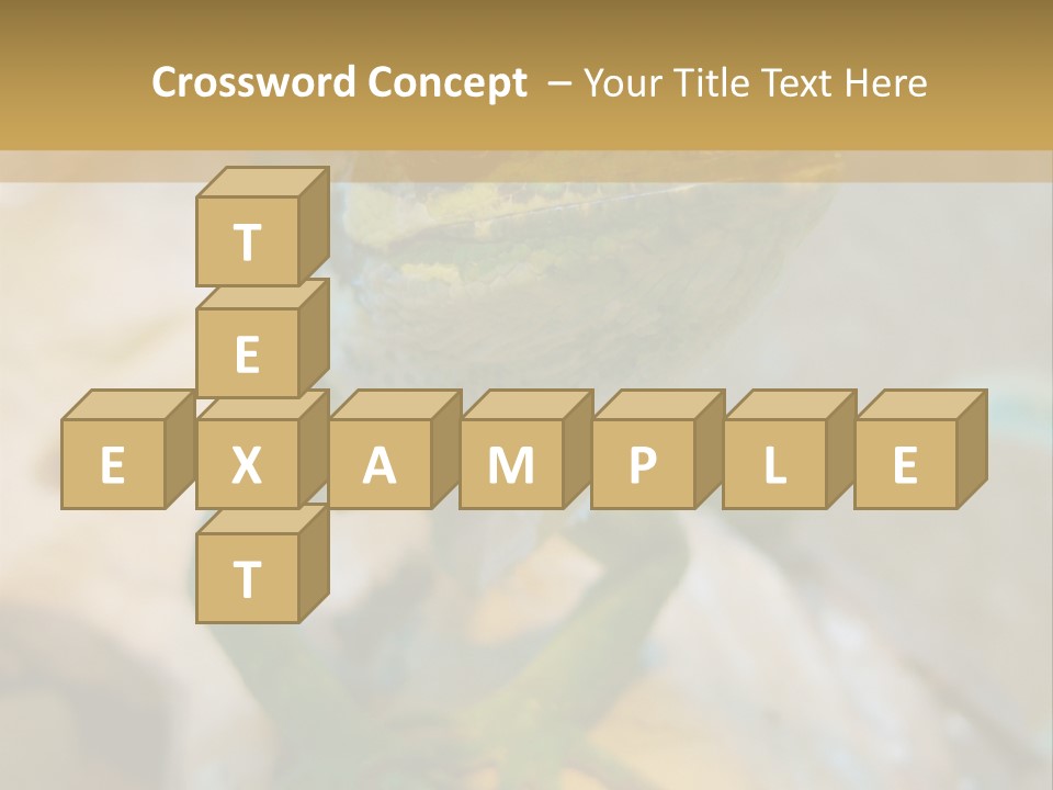 Anolis In Terrarium PowerPoint Template