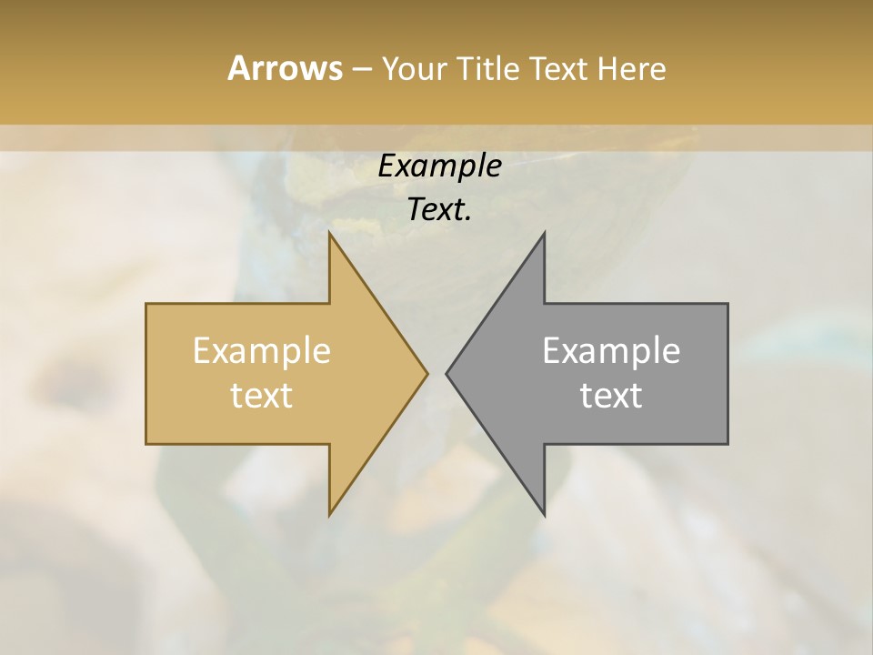 Anolis In Terrarium PowerPoint Template