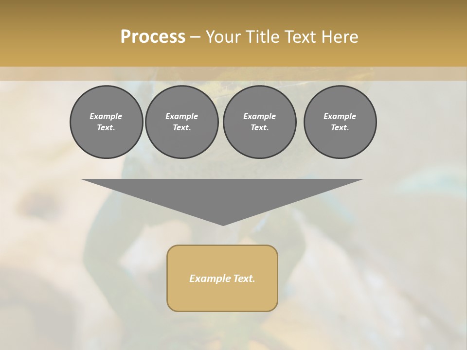 Anolis In Terrarium PowerPoint Template