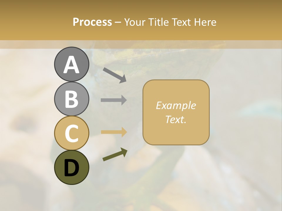 Anolis In Terrarium PowerPoint Template