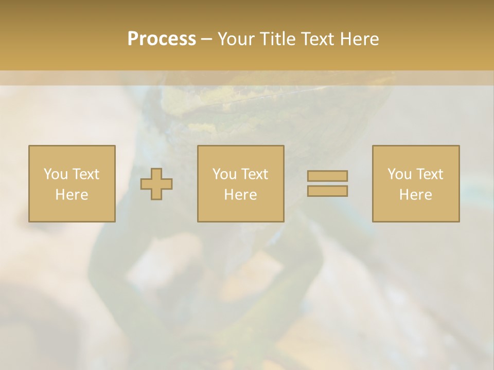 Anolis In Terrarium PowerPoint Template