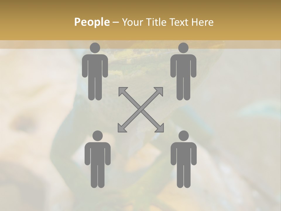 Anolis In Terrarium PowerPoint Template