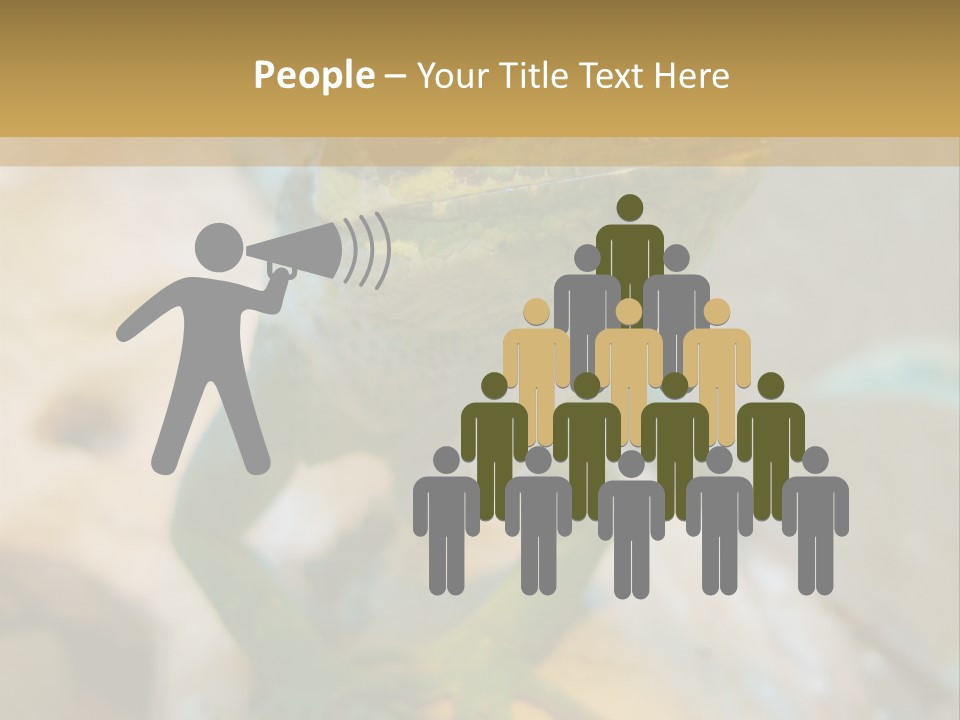 Anolis In Terrarium PowerPoint Template