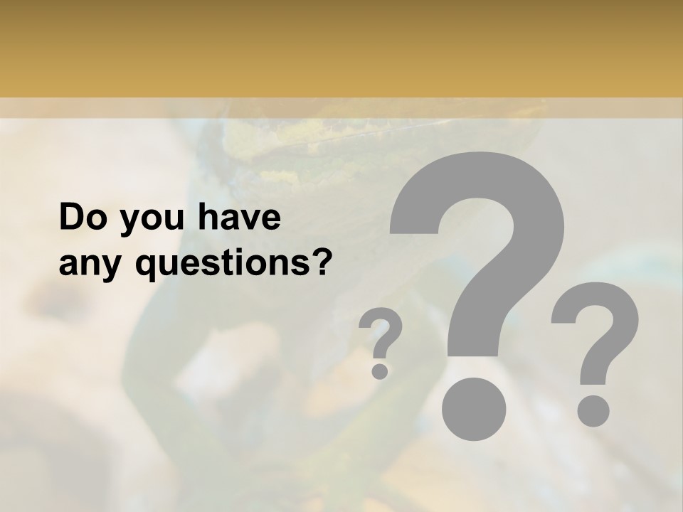 Anolis In Terrarium PowerPoint Template