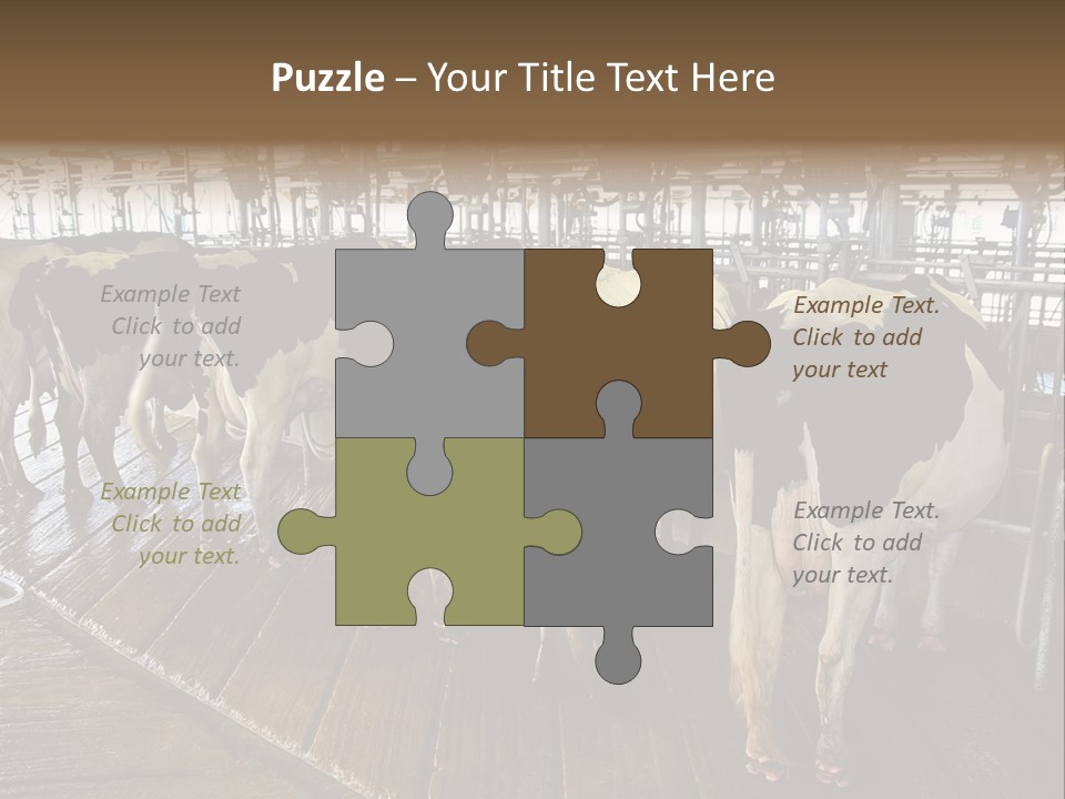 Cows In A Farm 1 PowerPoint Template