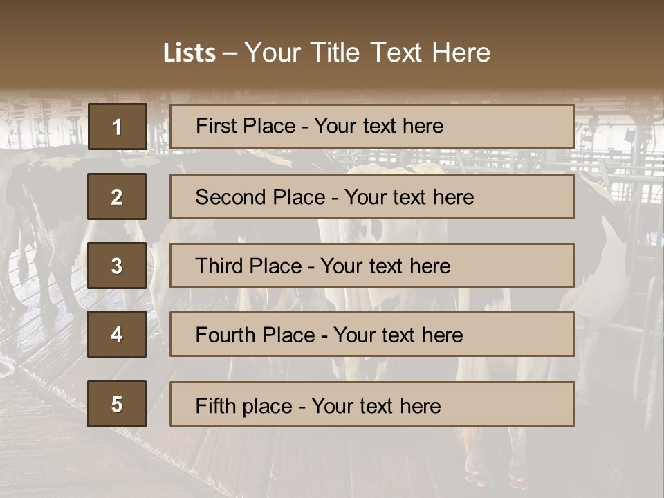 Cows In A Farm 1 PowerPoint Template