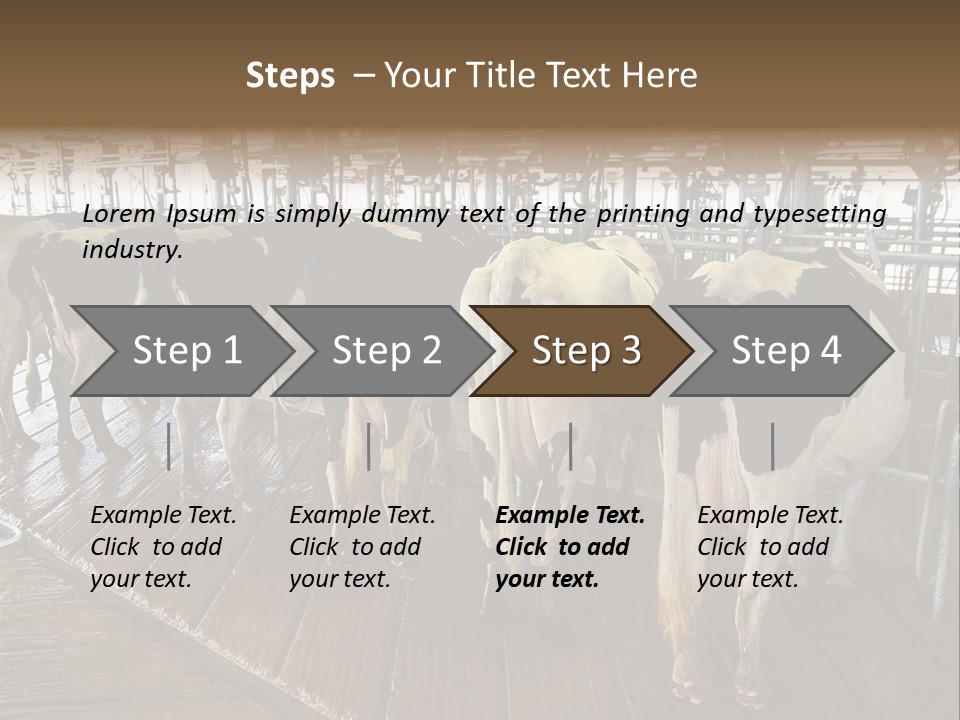 Cows In A Farm 1 PowerPoint Template