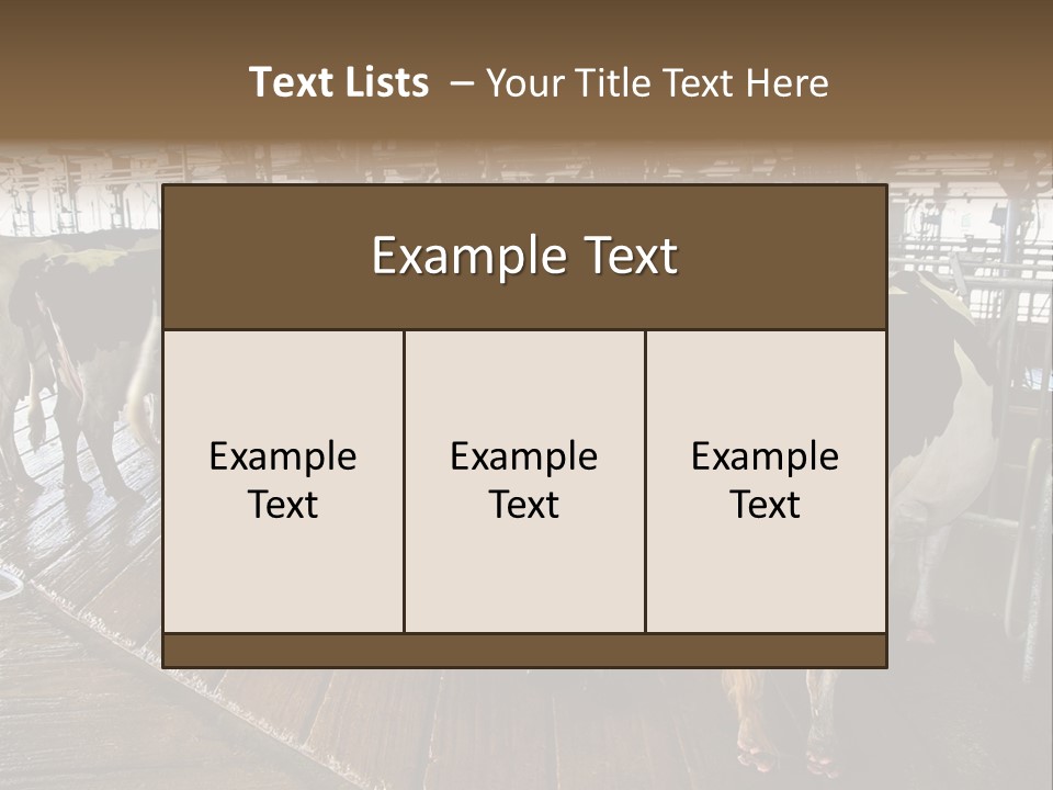 Cows In A Farm 1 PowerPoint Template