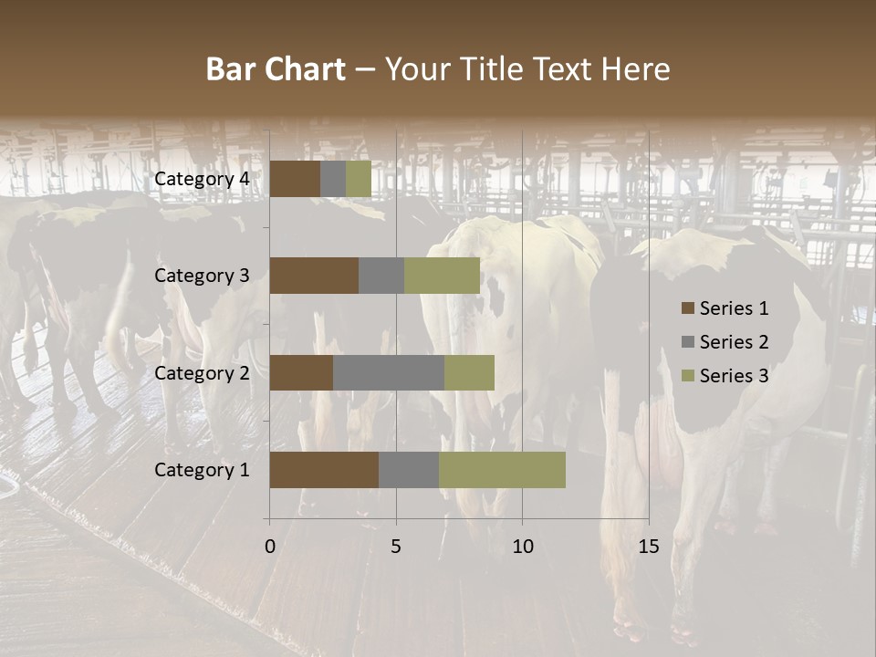 Cows In A Farm 1 PowerPoint Template