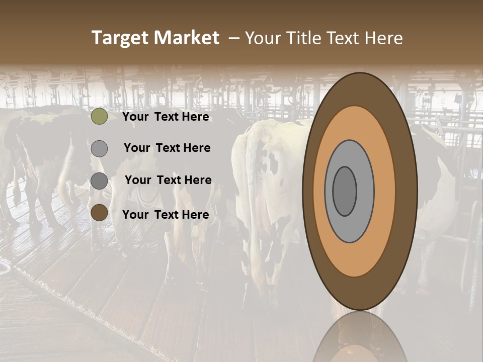 Cows In A Farm 1 PowerPoint Template