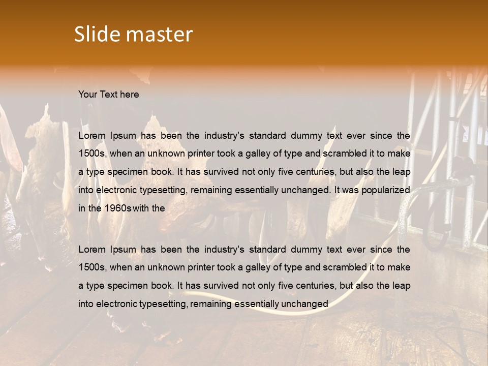 A Group Of Cows Standing Next To Each Other On A Wooden Floor PowerPoint Template