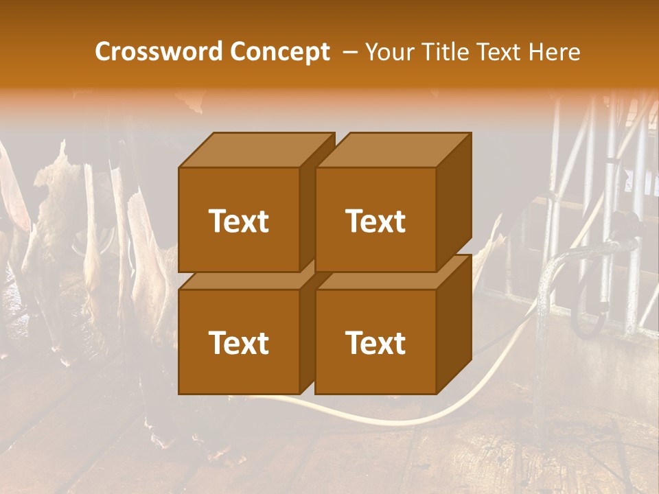 A Group Of Cows Standing Next To Each Other On A Wooden Floor PowerPoint Template