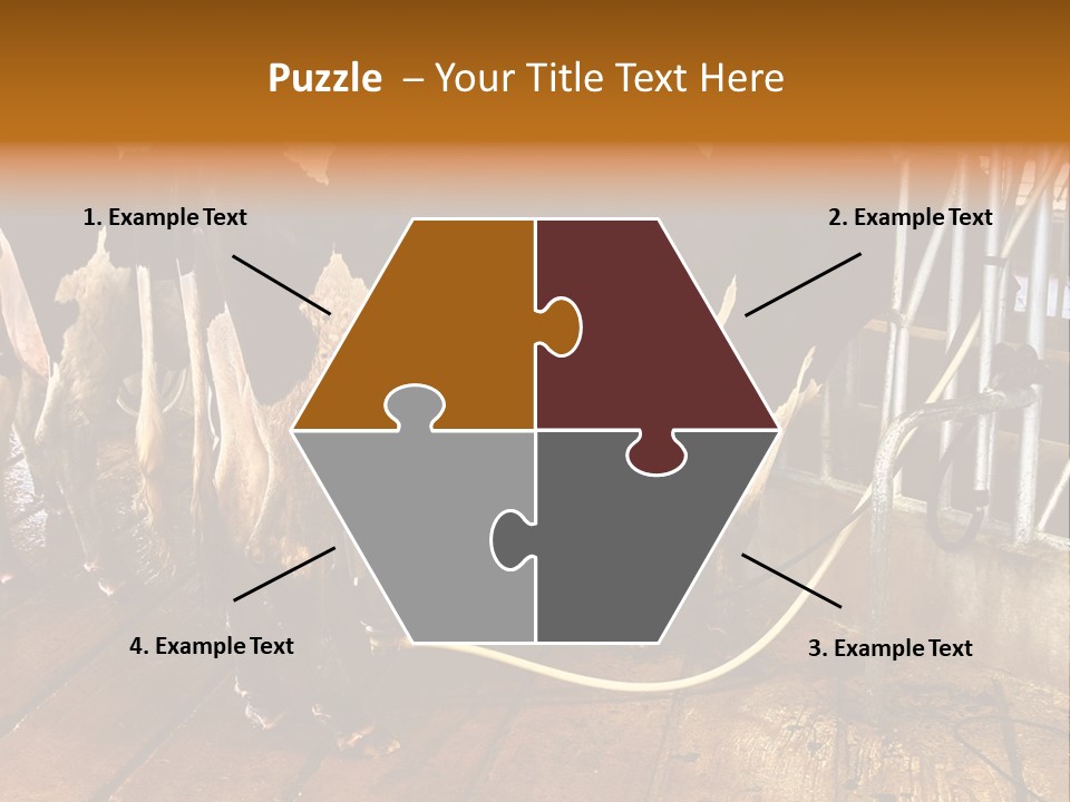 A Group Of Cows Standing Next To Each Other On A Wooden Floor PowerPoint Template