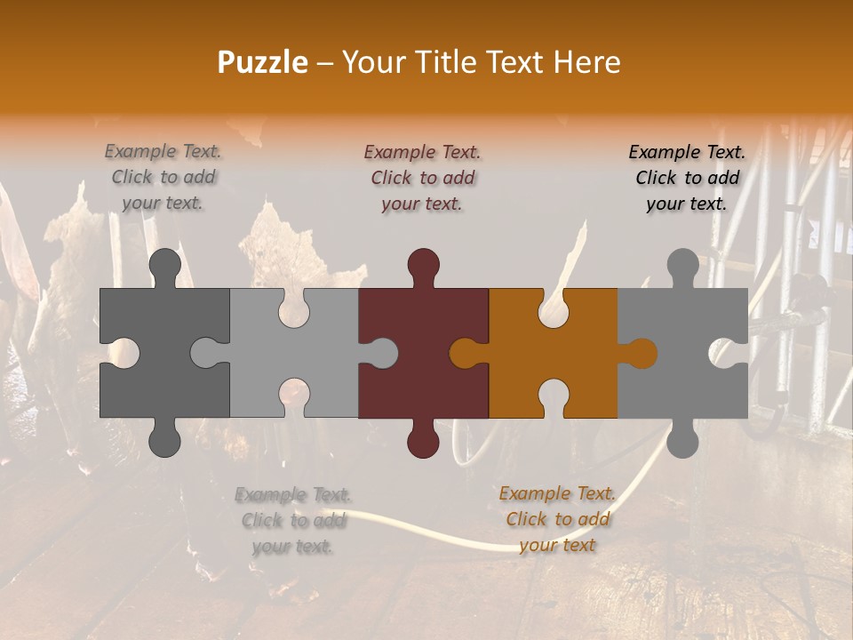 A Group Of Cows Standing Next To Each Other On A Wooden Floor PowerPoint Template